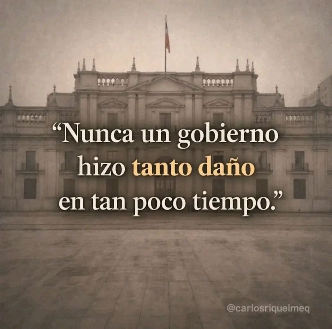 🌳Mukhallis🌳 tweet media