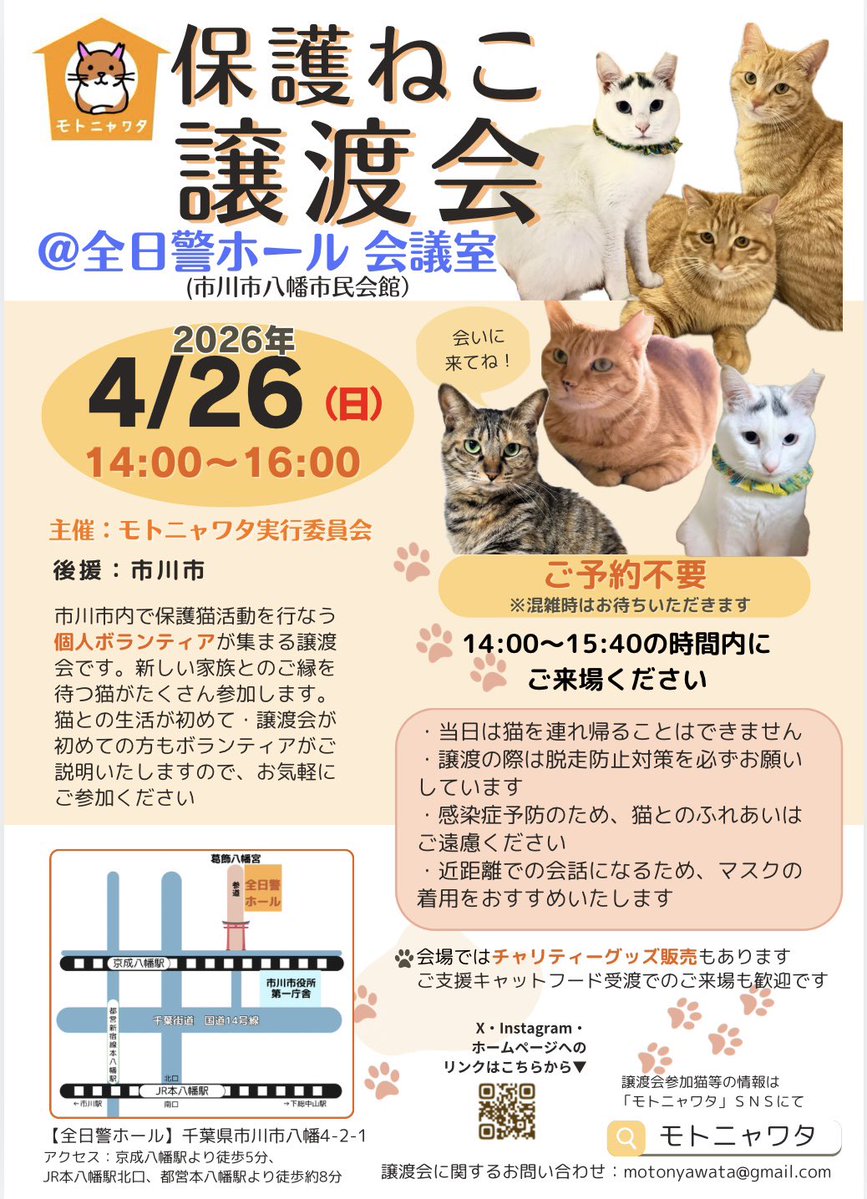 モトニャワタ⭐︎5/3(日)譲渡会🐱初🔰ペテモ市川妙典 tweet media