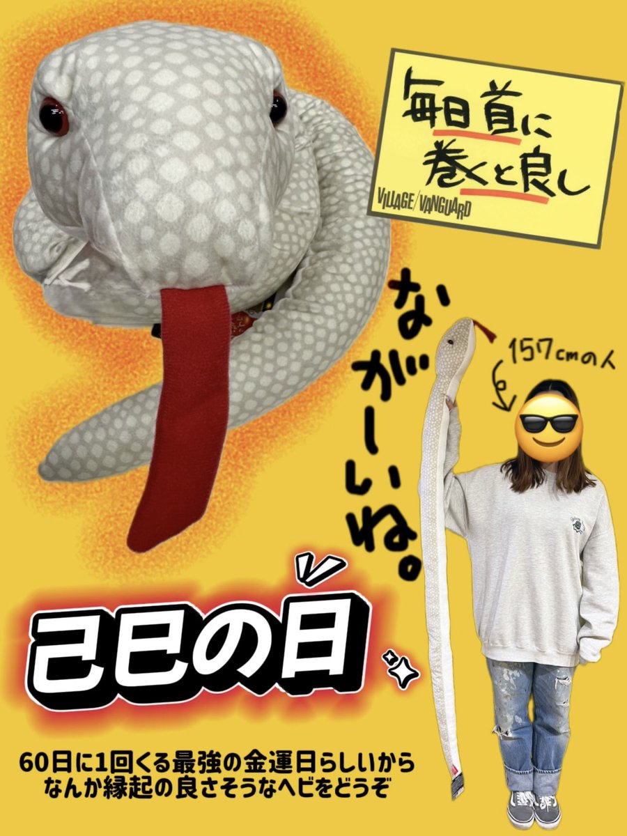 【公式】ヴィレッジヴァンガード tweet media