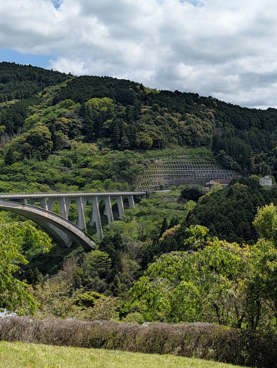 ヒデ☕🤍（🦍🐯） tweet media