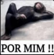 ☆Dixie🏳️‍🌈🇵🇸🇨🇩🇸🇩SAMARA MARTINS 20278️⃣0️⃣❤ tweet media