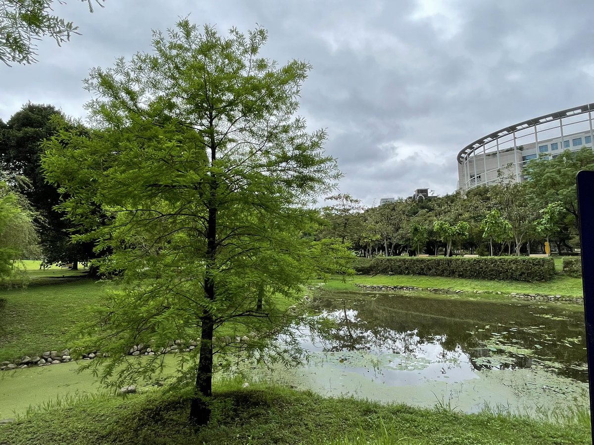 ChengSuChuan1's tweet photo. 分手就算了
但不對啊！又還沒開始⋯
有必要弄成現在這樣嗎⋯⋯ https://t.co/pD7IbLGdXy