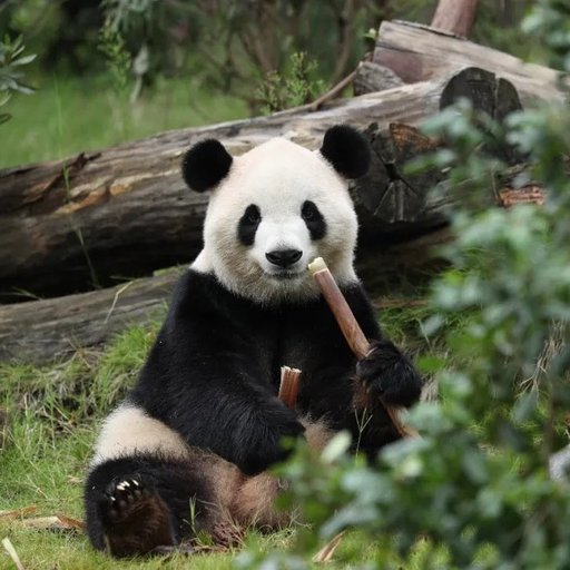 加密小师妹 tweet media