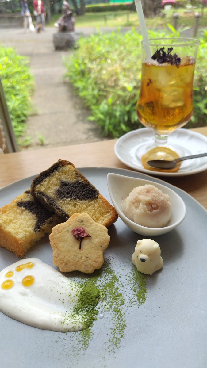 せらしーん🐰 tweet media