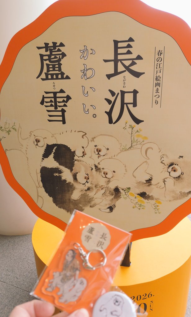 せらしーん🐰 tweet media