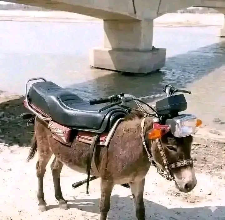 Adong Sarah Superlady 🇺🇬 🇺🇬 🇺🇬 🇺🇬🇺🇬🇺🇬 tweet media