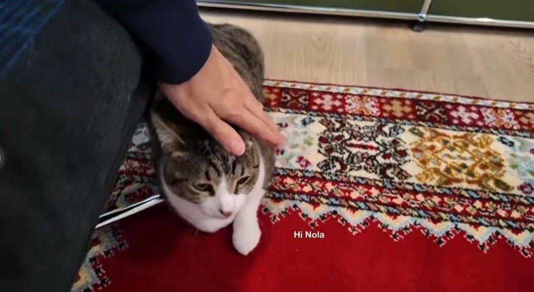 Cherrsa_MT93's tweet image. เห็นมาร์คลงรูปลูก ๆในPop เลยกลับไปดูความน่ารักในVlogอีกครั้ง😍🐧🍊☁️

📎youtu.be/2rdGgFNLxOc?si…

#MarkTuan #Mark #段宜恩 #마크
@marktuan @DNAmngmnt