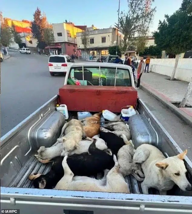 Benonwine tweet media