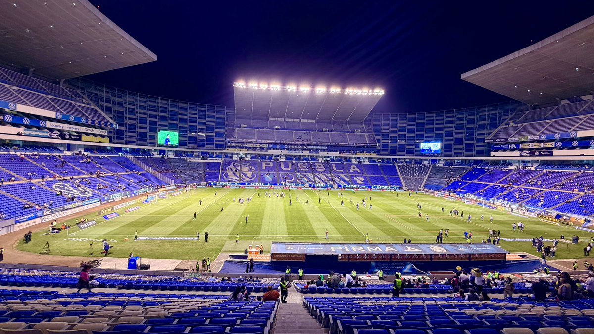 Vamos Gallos 🐔🙌🏻