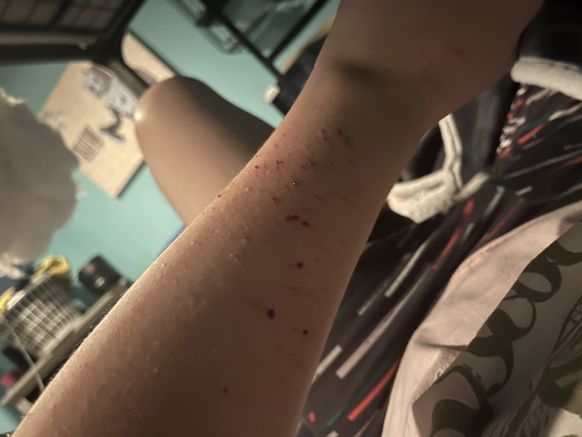 Lain of shtwt tweet media