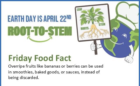 maschiofood's tweet image. Apples should be stored in the refrigerator away from produce. Apples release ethylene gas, which can cause nearby fruits and vegetables to spoil faster. #Root-to-Stem #earthday2026 #gogreen #sustainableliving #recycle