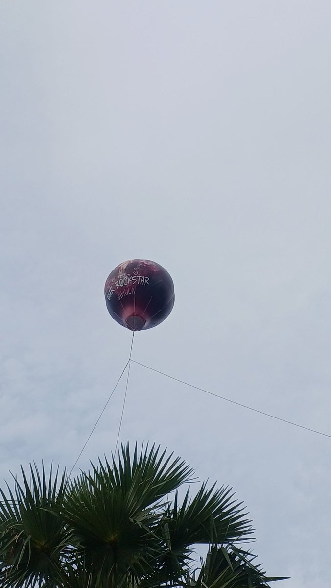 라샤 🐶 tweet media