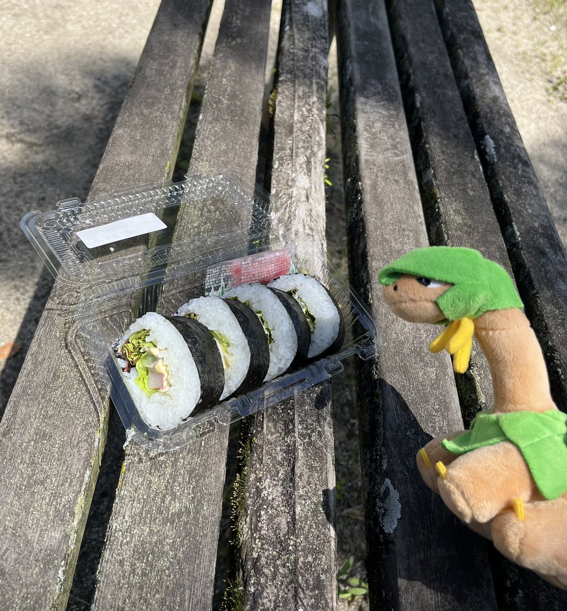 withtoropius's tweet photo. #ポケモンfit
「トレーナーと公園でランチ！
おいしいサラダ巻きを半分こ。
生姜漬けは…トレーナーに譲ってあげるね」 https://t.co/x3ULbQsDmA