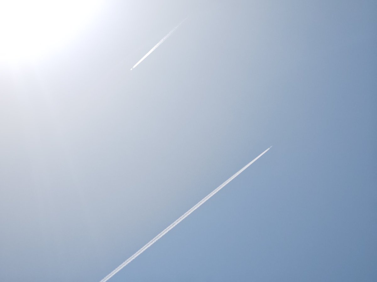 ryou1115 tweet media