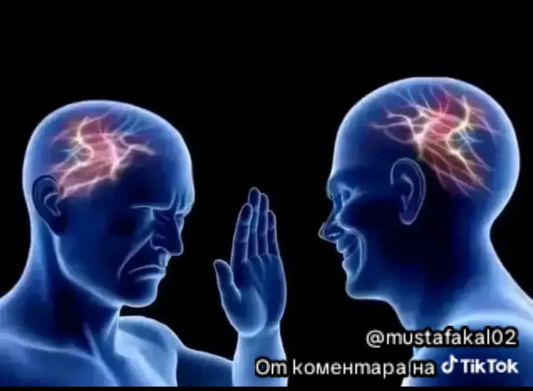 Arthur Wilde tweet media