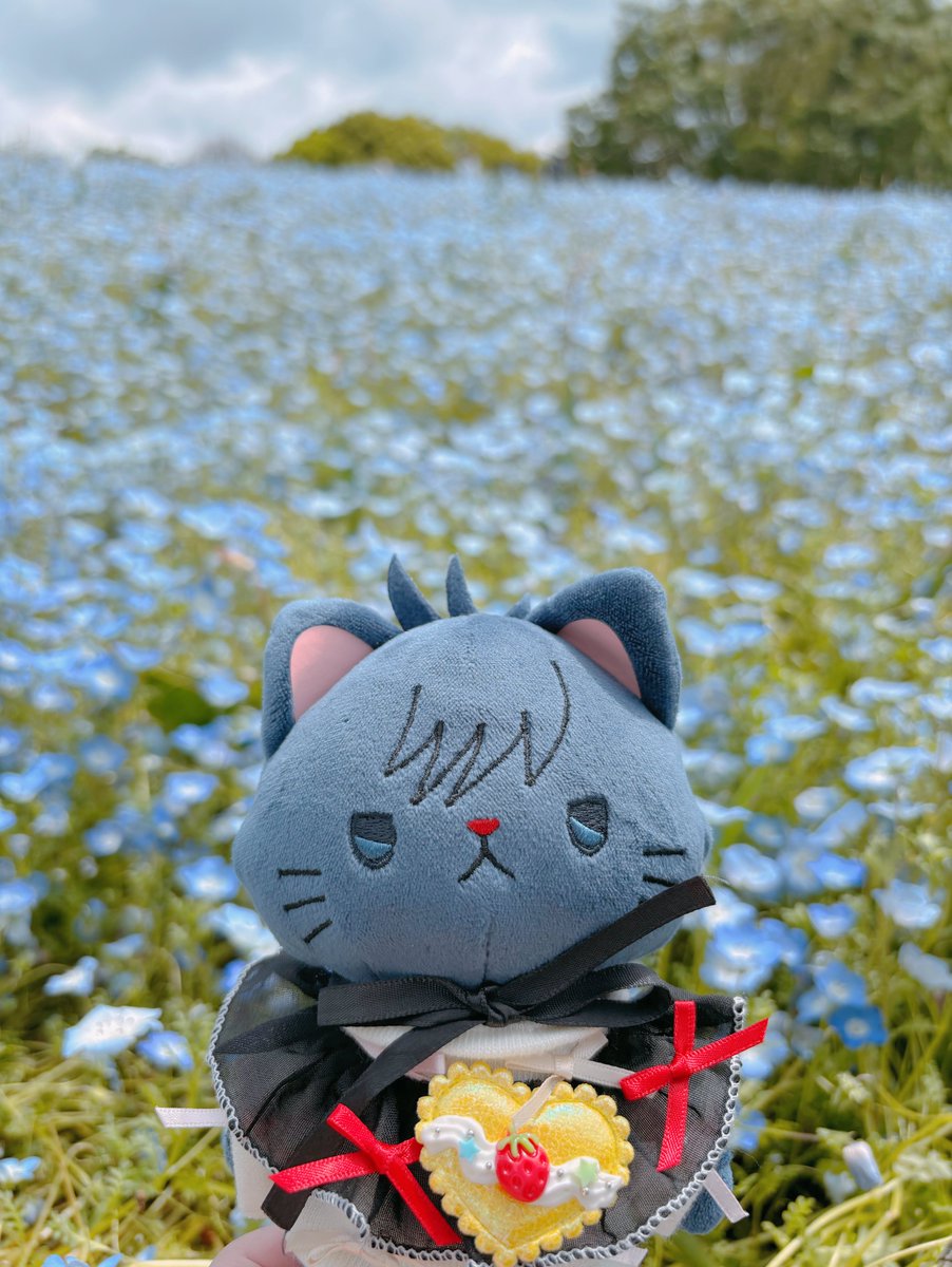 うぴ🐣10.5㌢㍍ tweet media