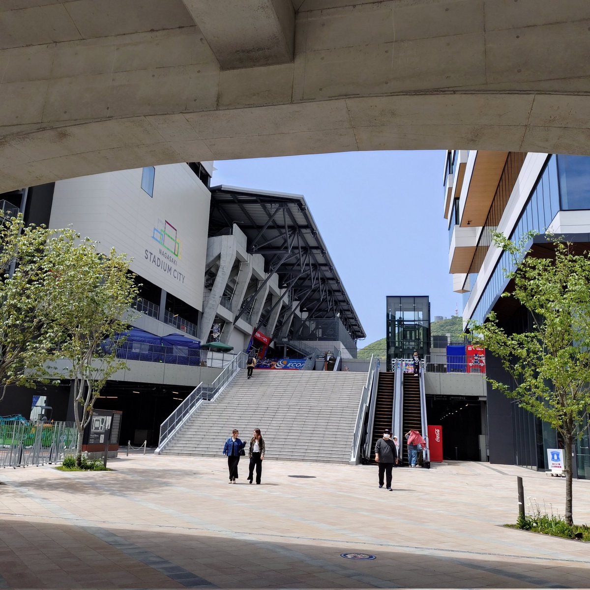 マチコ tweet media