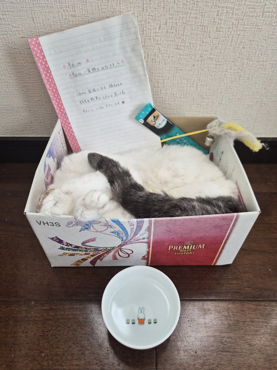 平山信一 tweet media