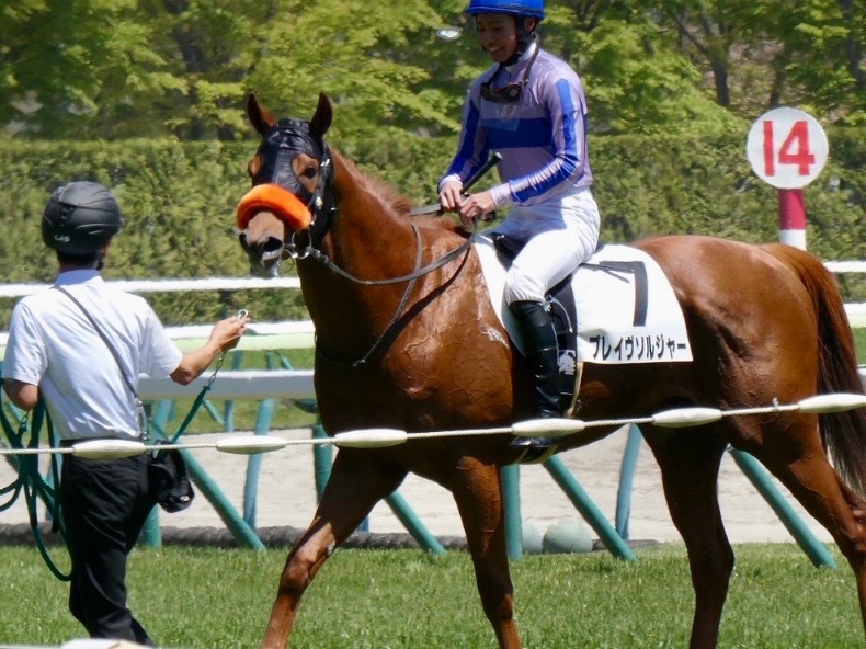 【非売品】ヘンリー・セシル公式バイオグラフィー 凱歌 (海外競馬・調教師) Katy (@InLuv_w_Horses) / Posts / X
