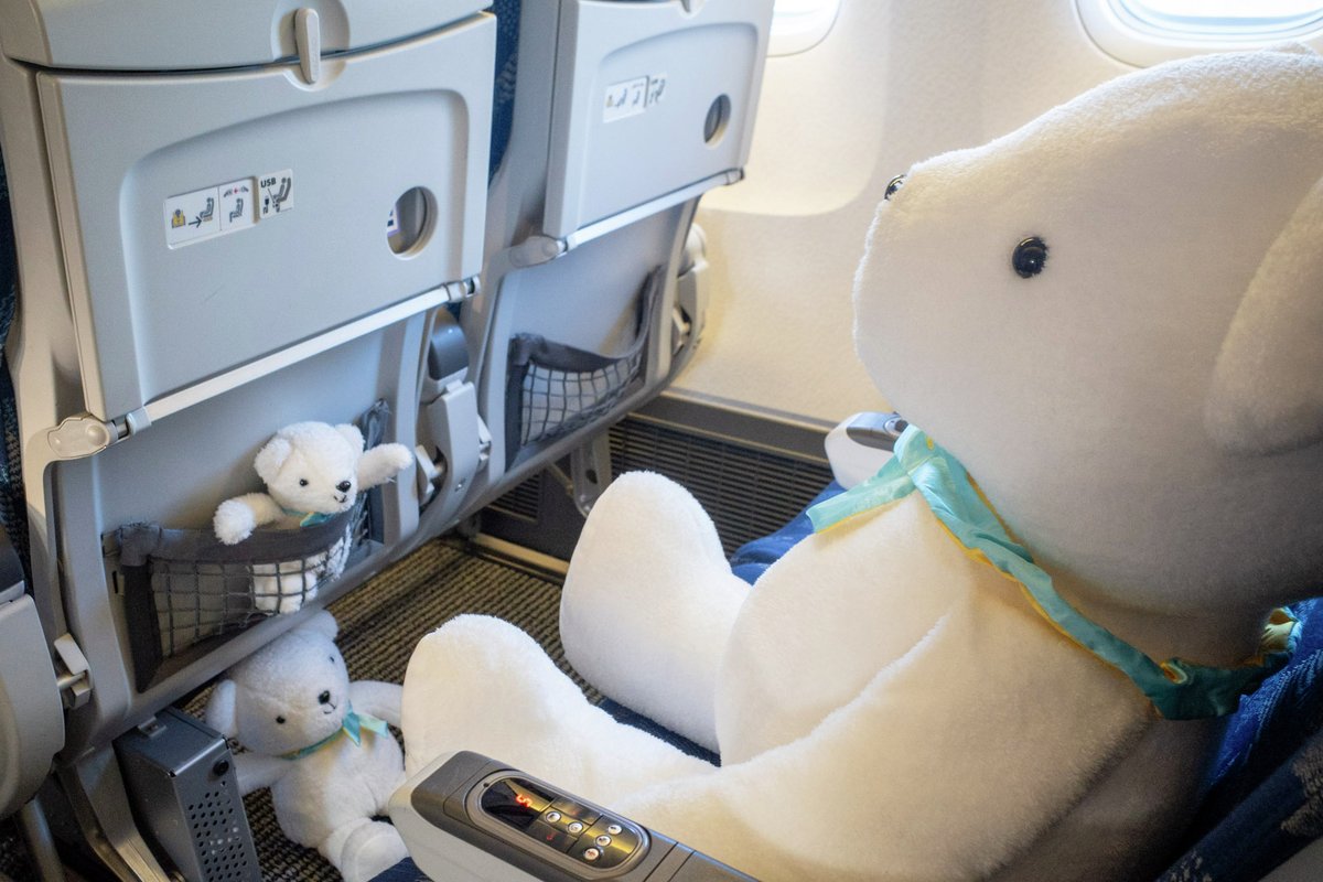 【公式】AIRDO（エア・ドゥ）｜北海道の翼 tweet media