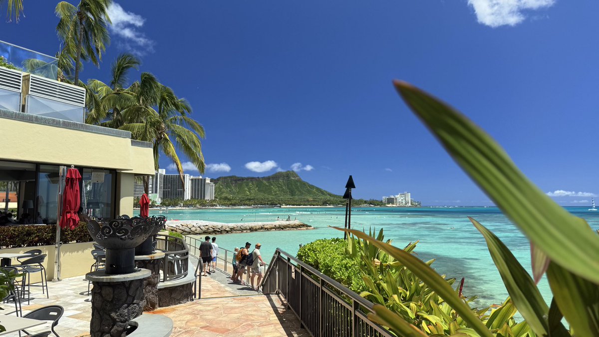 hawaii_isla808's tweet image. Happy beautiful sunny Friday ☀️📸❤️
Greetings from Honolulu, Hawaiʻi 🌴🌊

Wishing you a relaxing and wonderful weekend! 🤙🙏🏼🏄🏻‍♀️🥂 #oahu #hawaii #waikiki #honolulu #luckywelivehawaii