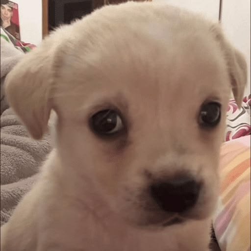 Lyam, IS BEATING HIS HUSBAND 🥀 tweet media