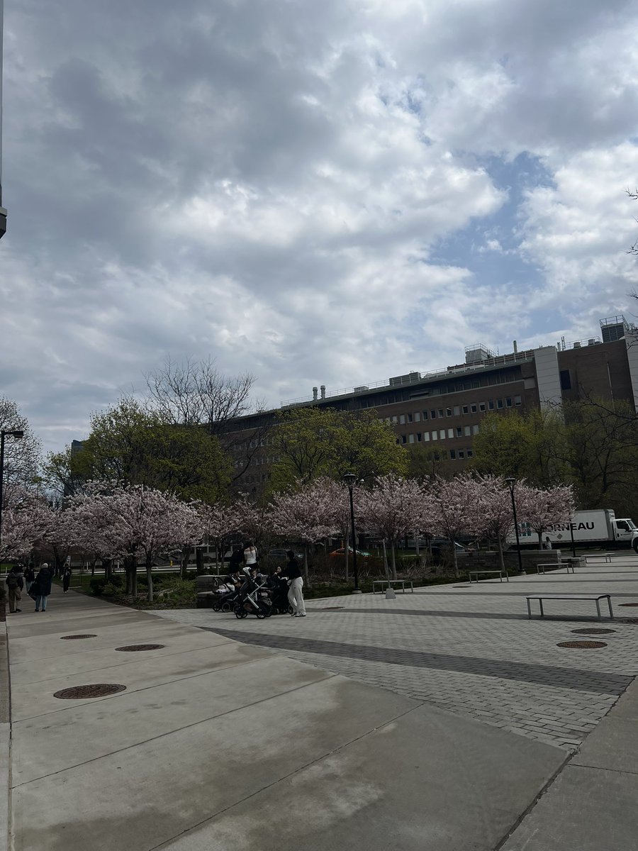 exlangak's tweet photo. トロント大、Robarts commonのところはこんな感じでした〜

https://t.co/GW0l5lQl62 https://t.co/i5KHvXyLRa
