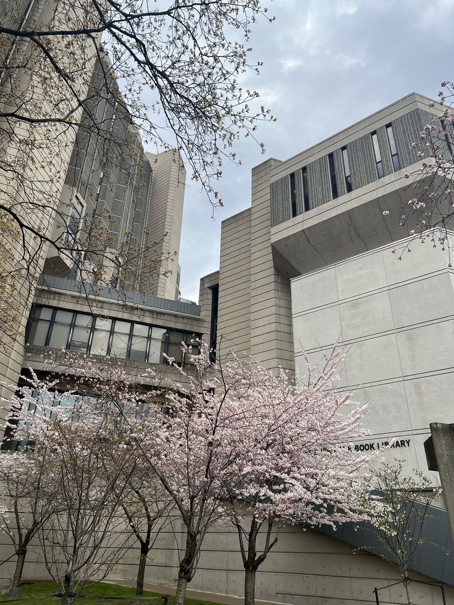 exlangak's tweet photo. トロント大、Robarts commonのところはこんな感じでした〜

https://t.co/GW0l5lQl62 https://t.co/i5KHvXyLRa