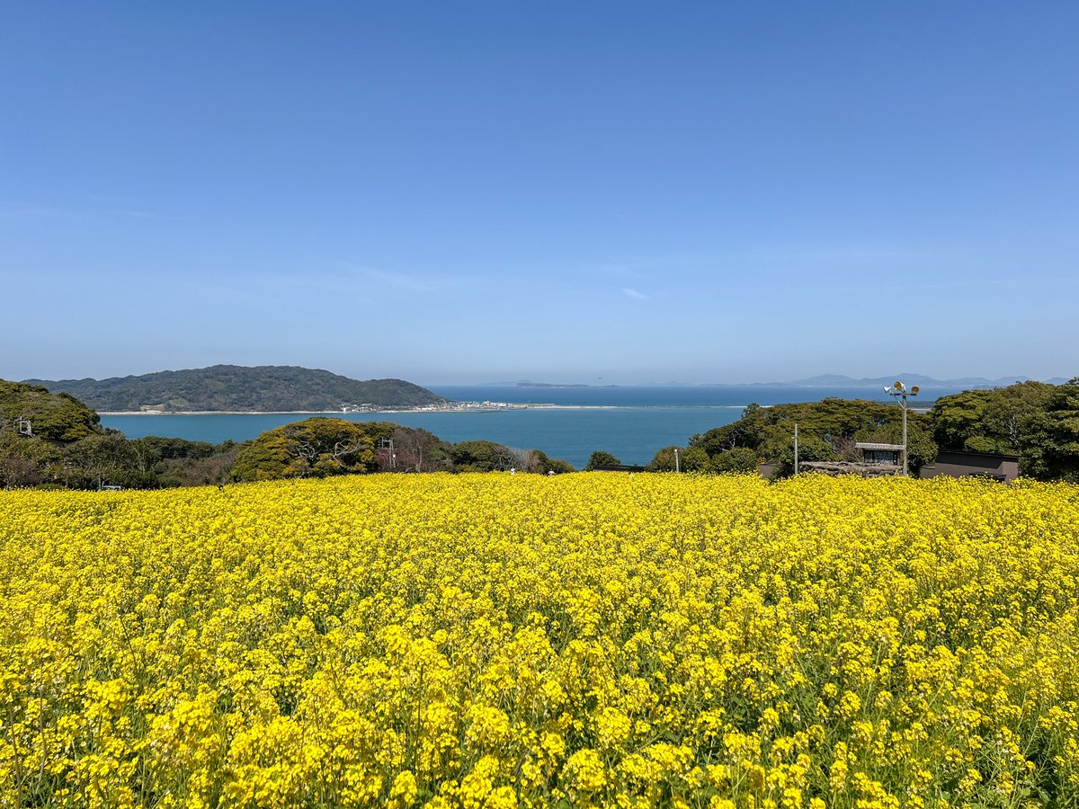 showgowon's tweet photo. 福岡に遊びに来る���、地元の人は「観光地ないよ」と謙遜するけど、そんなことないよ。

相島｜旅感ある離島、癒しの猫島！
能古島｜フェリーで10分！花がきれいなリゾート島
志賀島｜陸続きの島！博多湾が絶景！
糸島｜海も山も美しい！

おすすめは島旅！
博多駅からも遠くないので、ぜひいい旅を！ https://t.co/fLNzikTfhY