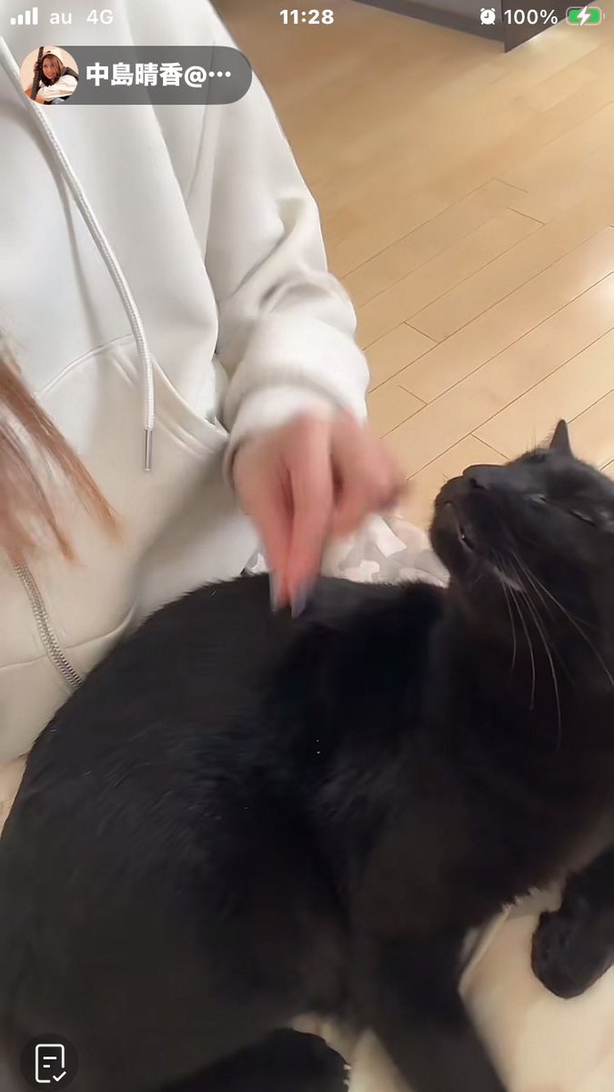 きつね tweet media