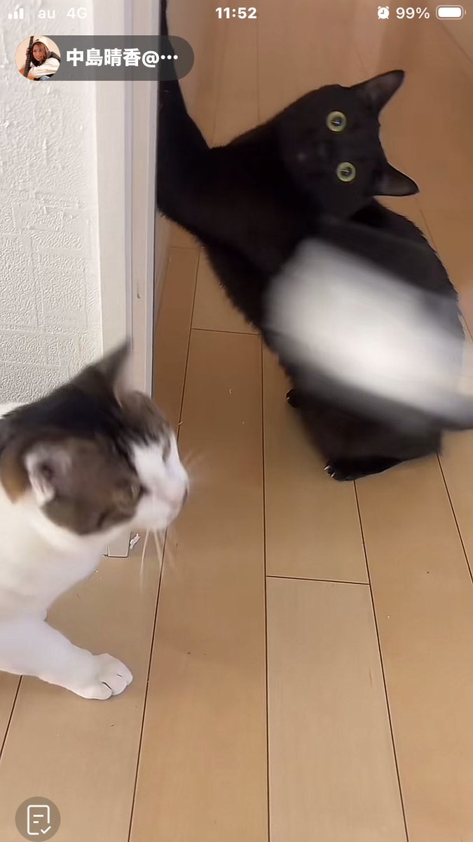 きつね tweet media