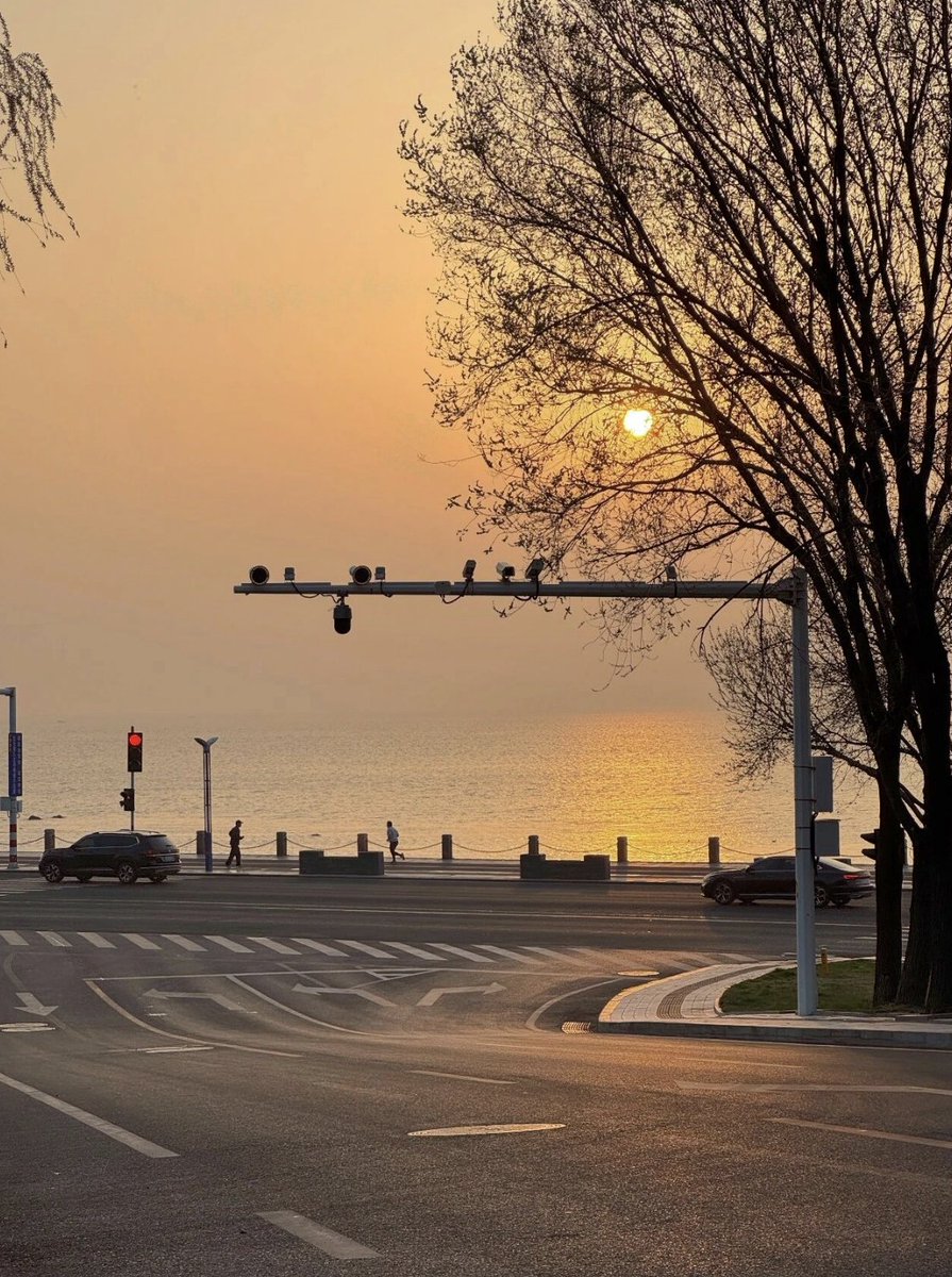 TravelYant95583's tweet image. In Yantai, you don’t plan to see the sea.
 It just appears. 🌊
1,071 km of coastline.
 Sunrises. Sunsets. Golden Beach.
 Fisherman’s Wharf.
Turn a corner — there it is.
#Yantai #Coastline #SeaView #VisitYantai
