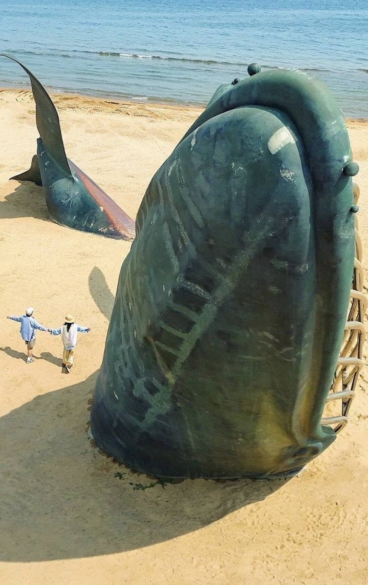 TravelYant95583's tweet image. In Yantai, you don’t plan to see the sea.
 It just appears. 🌊
1,071 km of coastline.
 Sunrises. Sunsets. Golden Beach.
 Fisherman’s Wharf.
Turn a corner — there it is.
#Yantai #Coastline #SeaView #VisitYantai