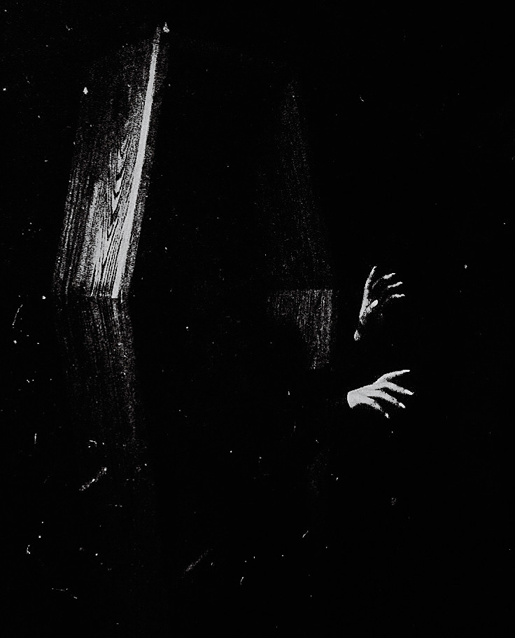 * ꇙ𝑒𝑏𝑎𝑠𝑡𝑖𝑎𝑛 ꃳ𝑎𝑖𝑙 ⸝ tweet media