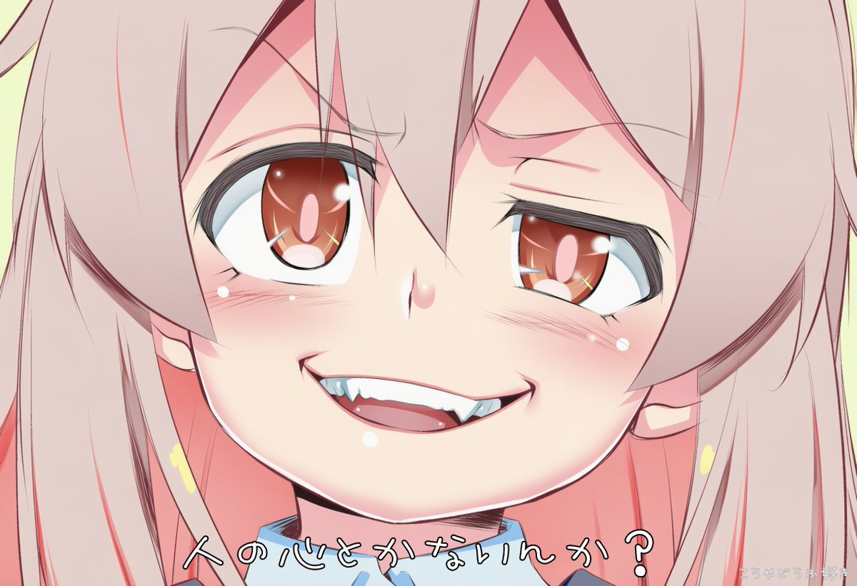 こうやどうふ好き tweet media