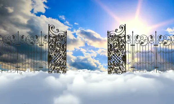 If heavens gate were opened, and each person has the right to collect  just one thing. What would you collect? 

Sanusi Lamido Sanusi NIN and BVN Aunty Ramota Naira Marley  Black Axe