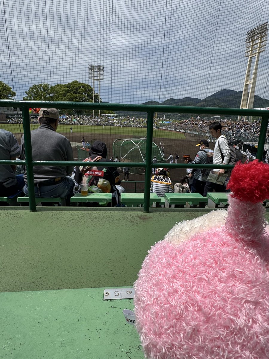 4/25（土） ホークス熊本決戦【KAB公式】 tweet media