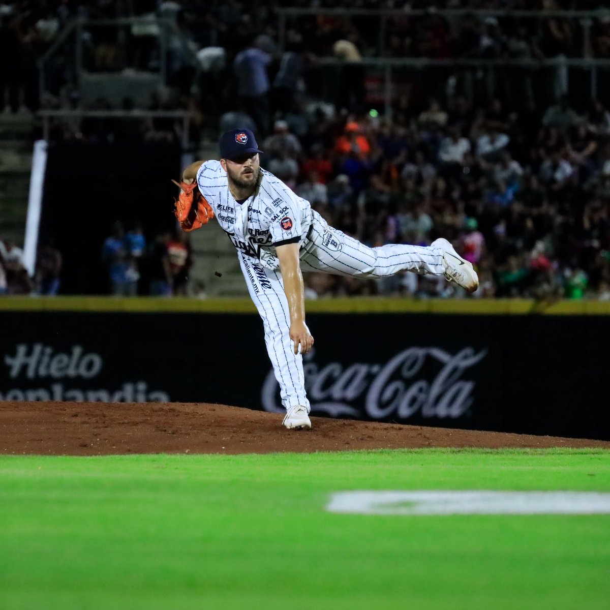 Tigres de Quintana Roo 🐯 tweet media