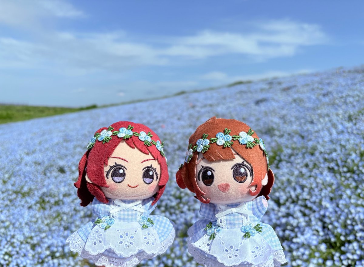 どんちき tweet media