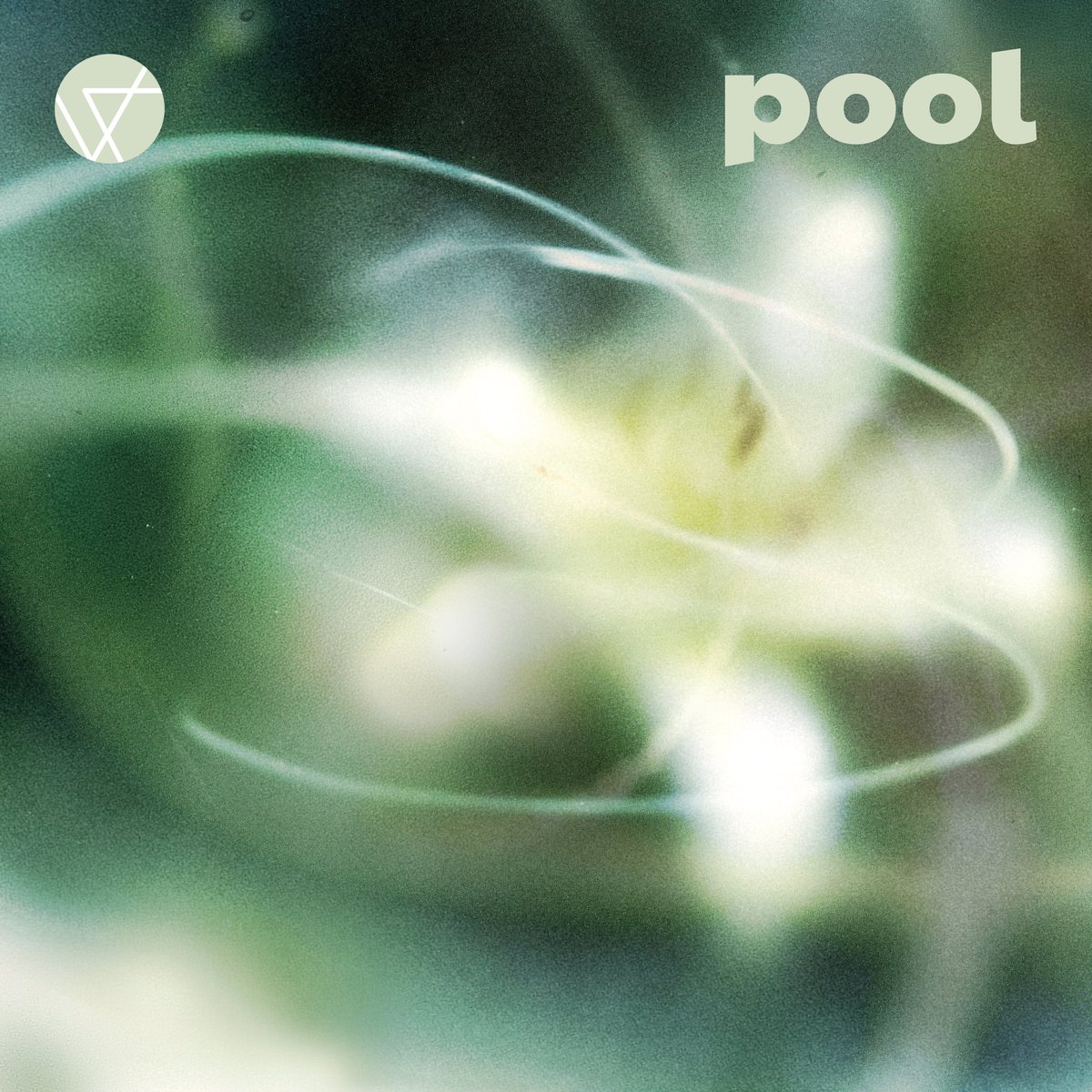 Confined White tweet media