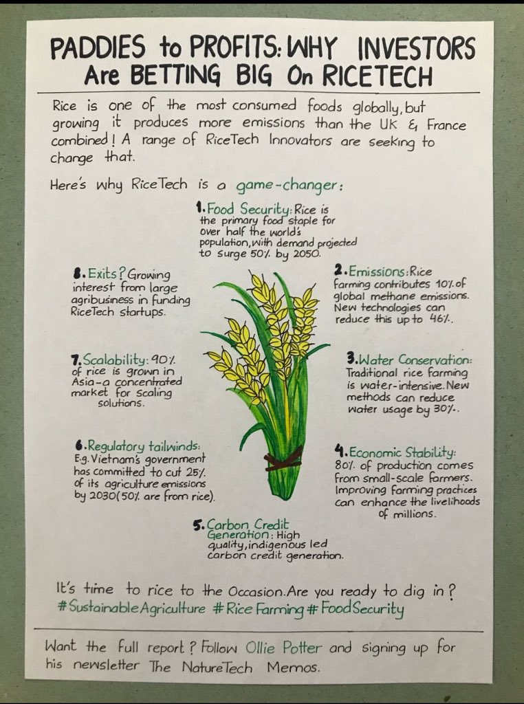 rouppme's tweet photo. Investor asing sedang taruh duit besar-besaran di teknologi padi.

Lahan yang dikelola setiap musim ternyata jadi kalkulasi carbon credit, methane reduction, dan food security buat portofolio mereka di negara lain.
Kamu kerja keras di sawah. Mereka dapat return di spreadsheet.

Ada yang sadar soal ini?
🧵👇
