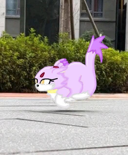Esquividitoile's tweet photo. Kitty #BlazeTheCat https://t.co/MQuo6zVSVP