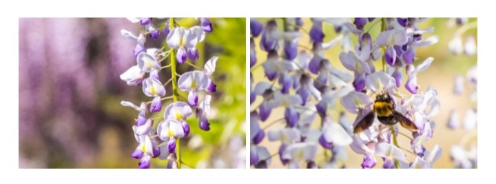 ❤里美さん‎❤ tweet media