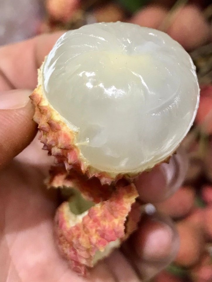 黄华毛 tweet media