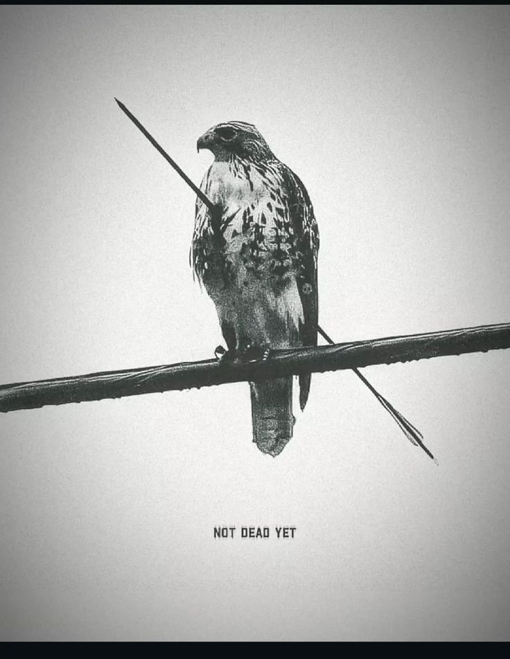 Cold Heart tweet media