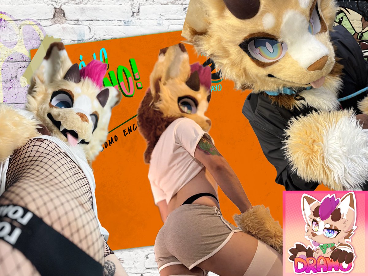 Drawo Le Bun tweet media