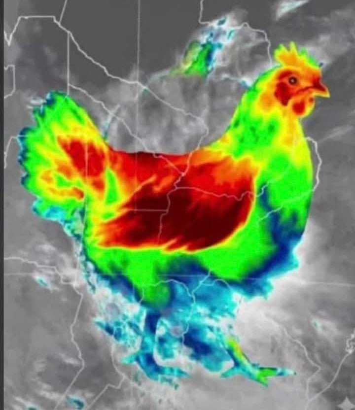 boxofscars tweet media