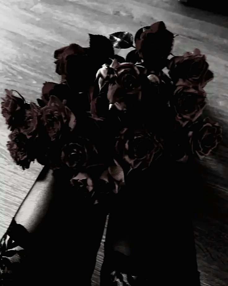 ⌗﹒🦇﹒˚₊‧ 𝓒𝔞𝔦𝔱𝔩𝔶𝔫 𝓚𝔦𝔯𝔞𝔪𝔪𝔞𝔫. ⋆ 18+ !! tweet media