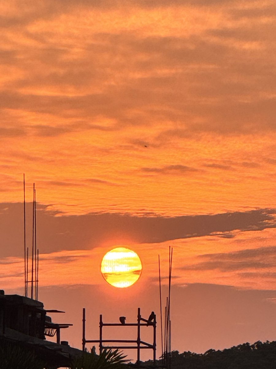 prasannasanthi's tweet image. Good morning to you and all dear friends. Have a great weekend and safe Saturday dear all. #Sunrise sky view was amazingly beautiful with Birds today