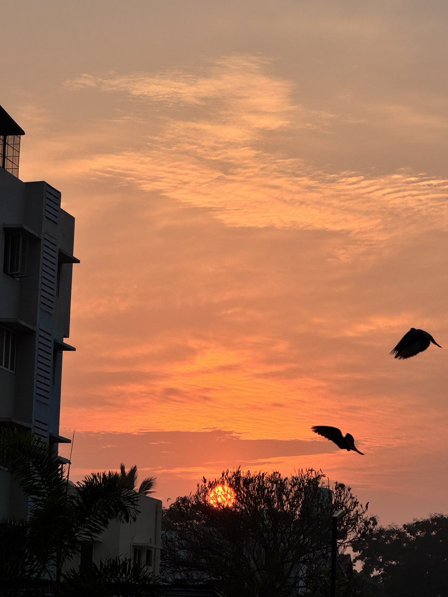 prasannasanthi's tweet image. Good morning to you and all dear friends. Have a great weekend and safe Saturday dear all. #Sunrise sky view was amazingly beautiful with Birds today